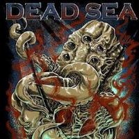 DeadSeaRecords (@deadsearecord) 's Twitter Profile