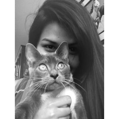 Fiel amante de los gatos // Ex estudiante de psicología y actual estudiante de comunicaciones...