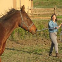 Antonella Fresa (@antonella_fresa) 's Twitter Profile