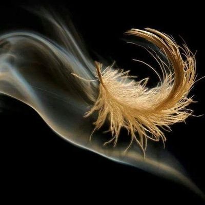 Ad6467's profile picture. 