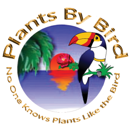 PlantsByBird's profile picture. 