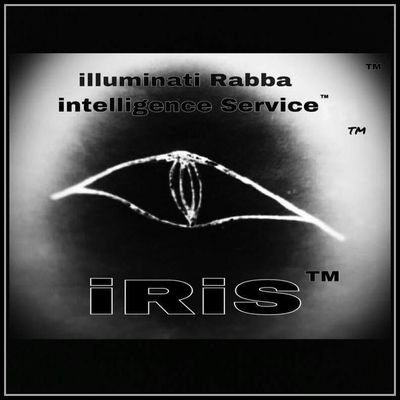 We are the illuminati Rabba intelligence Service™; the perspective gaining service of the Anunnaki, etcetera, to make all existences and journeys, better.