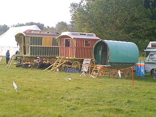 Meadowitch's profile picture. Babergh DC, Community Libraries Manager,  Wife, Mother of Three