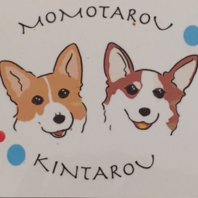 短足胴長犬ももたろう♀(2017.8.26没)と、きんたろう♀(2015.8.22没)との日々の暮らしと恨み節。2021年3月🇬🇧から本帰国。アイコンは「てばさき工房」のひなまま作。 2022年2月12日生まれの「おとひめ(コーギー)」が新しく加わりました!