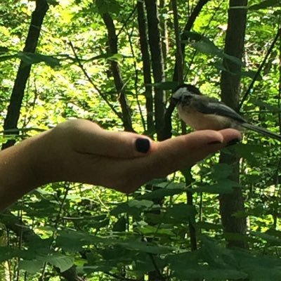 SpenceBrande's profile picture. 