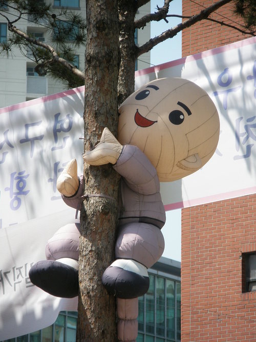 love Korea!
