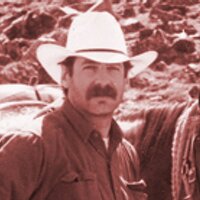 Lee Feldman (@leecomms) 's Twitter Profile