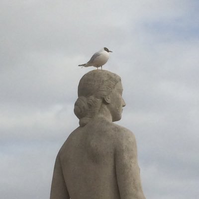 originaire de Toulouse mais lorraine d'adoption, catho et républicaine, s'intéresse aux idées et aux hommes, à la terre et à l'art ...