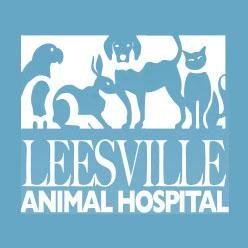 Leesville Animal Hospital has been providing high quality veterinary care in the Raleigh, North Carolina area since 1988.