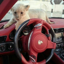 الشاجي (@0558885328) Twitter