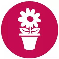 Balcón Sevillano (@balconsevillano) 's Twitter Profile Photo