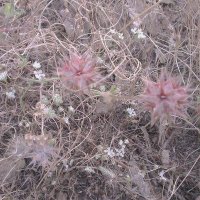 Şahin Akbalık (@sahinakbalik) Twitter profile photo