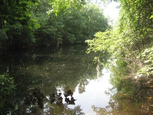 ILoveRockland's profile picture. I Love Rockland County NY