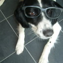 Bailey Harmon - @badgethedog - Twitter