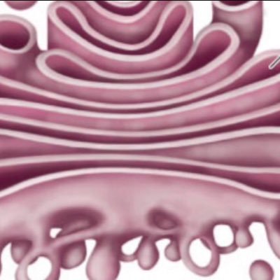 scienceisfun77's profile picture. 