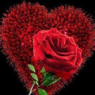 EatSalah's profile picture. 