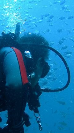 前期高齢者ダイバーです。出没先は紀伊半島、伊豆半島、越前、沖縄や八重山にも出向きます。流れに乗ったり逆らったりするドリフトが好きでしたが、足が痙攣する様になりました。最近はまったりダイバーに変身です。