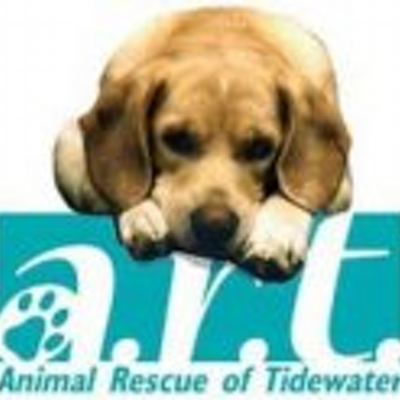 ARTanimals's profile image