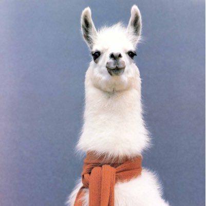 HighLlama Profile Picture