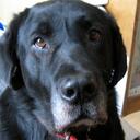 MARY DAVE HAMMEL - @davenjoz - Twitter