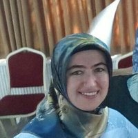 Hatice Şen (@a94d2370d7064f8) 's Twitter Profile
