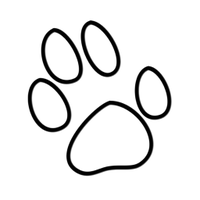 iCat Solutions Ltd (@icatsoftware) 's Twitter Profile