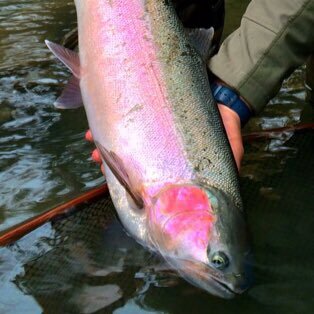 Fshoutofwater's profile picture. Doing things the Max Power way. Carrying on as if I were normal #FlyFishing, #flytying Supporter of Coalition Armed Forces everywhere.