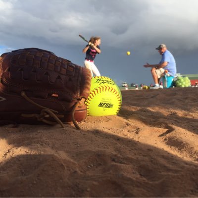 DP Panthers Softball Profile