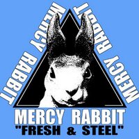 マーシー兎＠HMMゾイドアートワーク発売中です。 (@mercy_usagi) 's Twitter Profile Photo