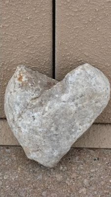 notenuffbooks's profile picture. 