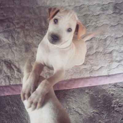 eedlove0404's profile picture. 2010.04.10 #hi