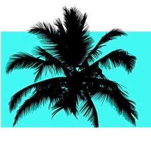 ThankYouMiami Profile Picture