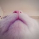 真人香 (@05270623) Twitter
