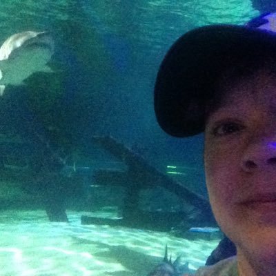 LzMueller406's profile picture. 