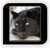 walterwellborn's profile image