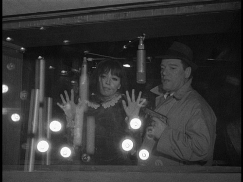 venturelli's profile picture. 