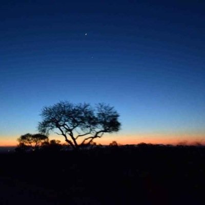 dirksting1's profile picture. Durban University of Technology Confucius Institute Mandarin lecturer