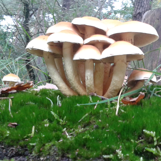 2015christel's profile picture. 