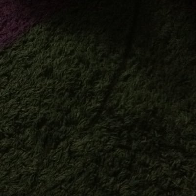 RomanesRonel's profile picture. 