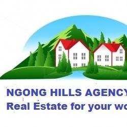As Real estate brokers and sales agents we offer immediate solutions to any concerns of  clients