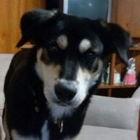 Vero (@veroveronica36) 's Twitter Profile