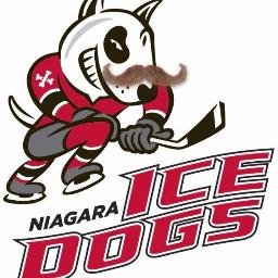 BrockuMoDogs's profile picture. 6 ambitious fourth year Brock University are hosting a bottle drive at the November 14 Ice Dogs game against Oshawa Generals. All proceeds donated to Movember!