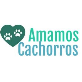 Amamos Cachorros, tudo sobre cachorros, saúde, curiosidade, doenças, adestramento, adoção, guia de raças completo- O site feito para você e seu cão.