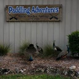 Welcome to the only kayak and canoe rental facility on the Weeki Wachee River, Weeki Wachee Springs State Park in the heart of Florida's Adventure Coast.
