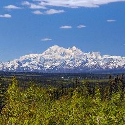 Denali's premiere adventure tour company operating Denali ATV Adventures, Denali Park Zipline, and Denali Jeep Excursions! Come enjoy Alaska with us!