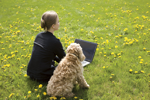 BeccaHaner's profile picture. Marketing Communications consultant