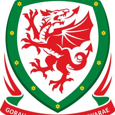 Join the Welsh National Football team on their journey in Euro 2016 in France ⚽️