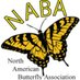 NabaButterfly (@nababutterfly) Twitter profile photo NabaButterfly (@nababutterfly) Twitter profile photo