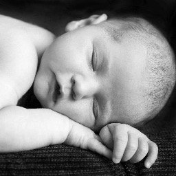 _1thousandwords's profile picture. 