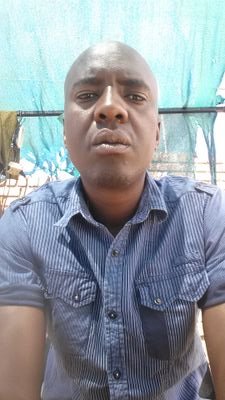 Brincologic's profile picture. 